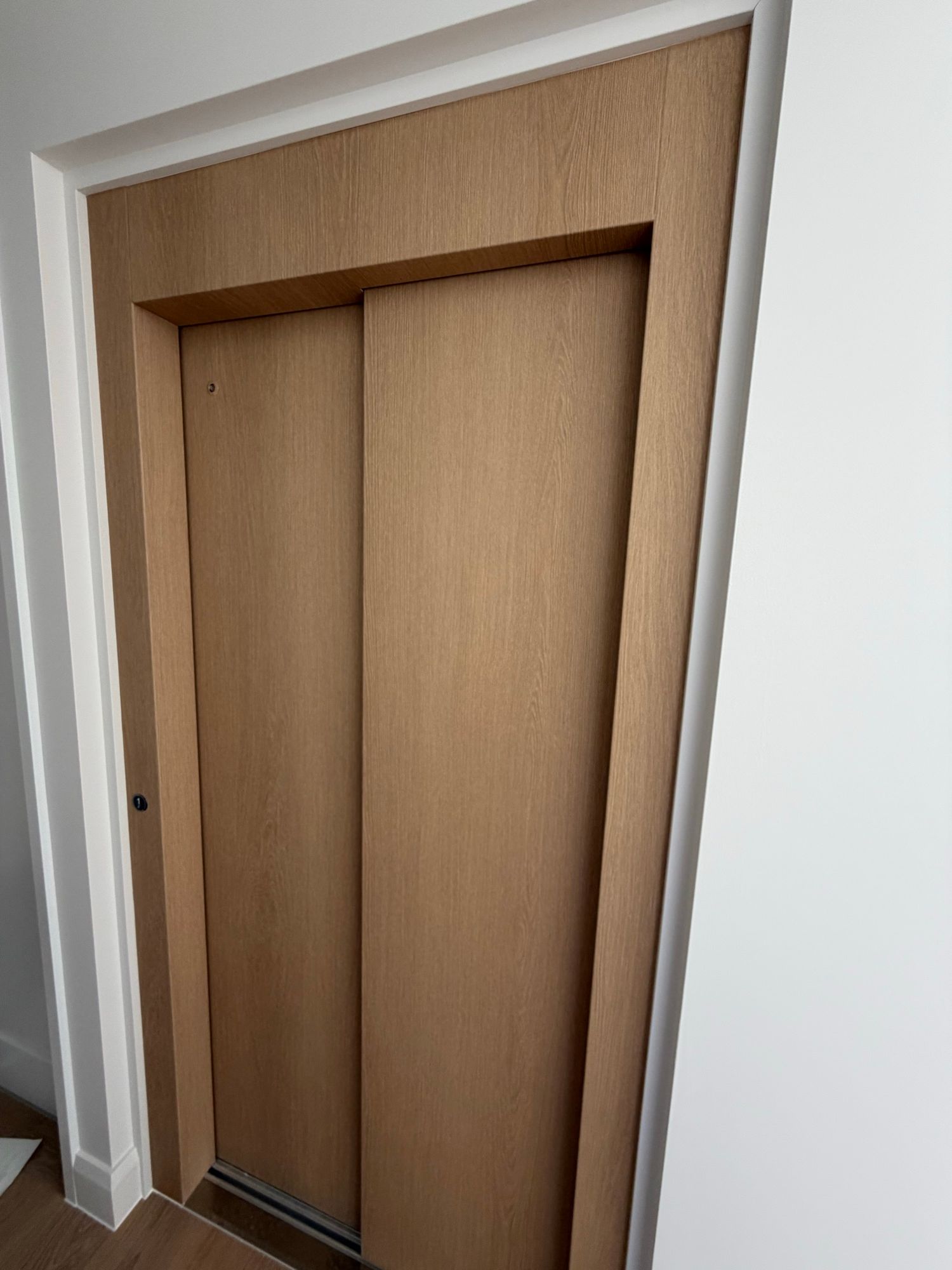 After: Home lift doors, white to light woodgrain